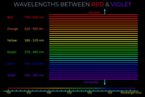 Wavelengths Between Red & Violet