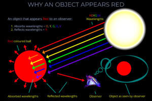 Why an Object Appears Red