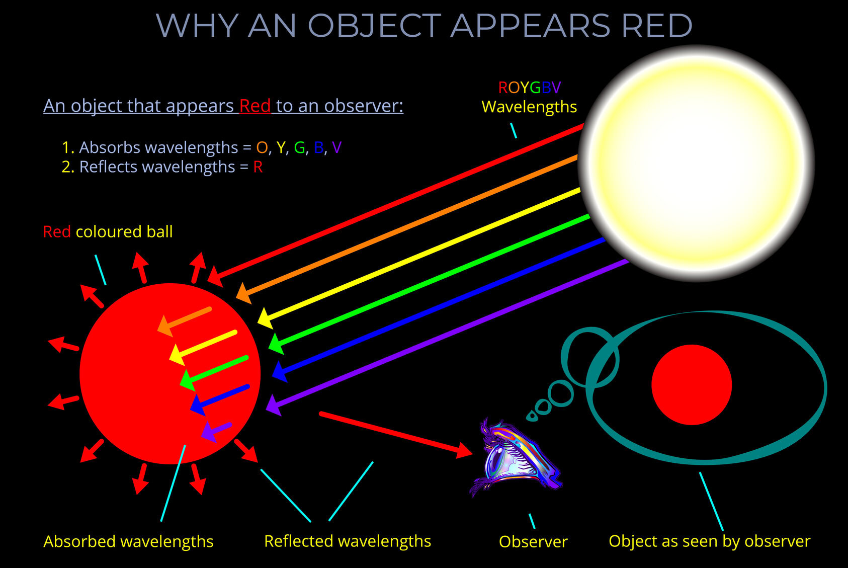 Why an Object Appears Red