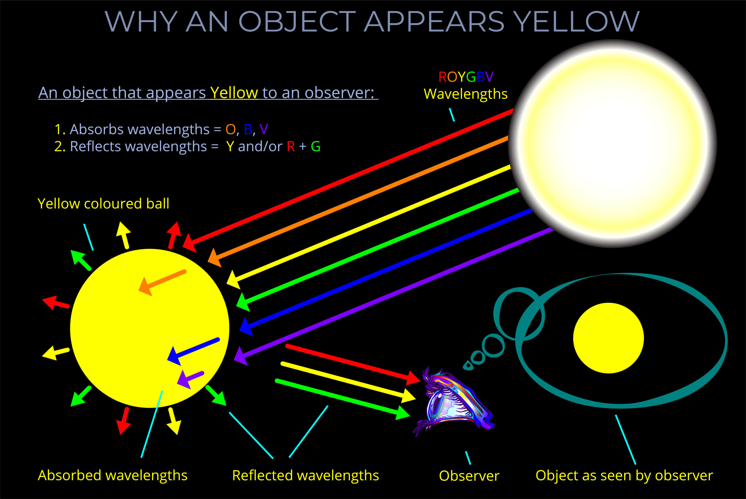 Why an Object Appears Yellow
