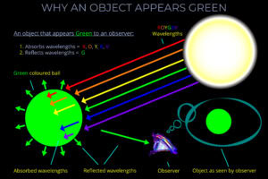 Why an Object Appears Green