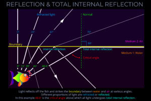 Reflection & Total Internal Reflection