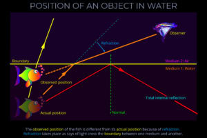 Position of an Object in Water
