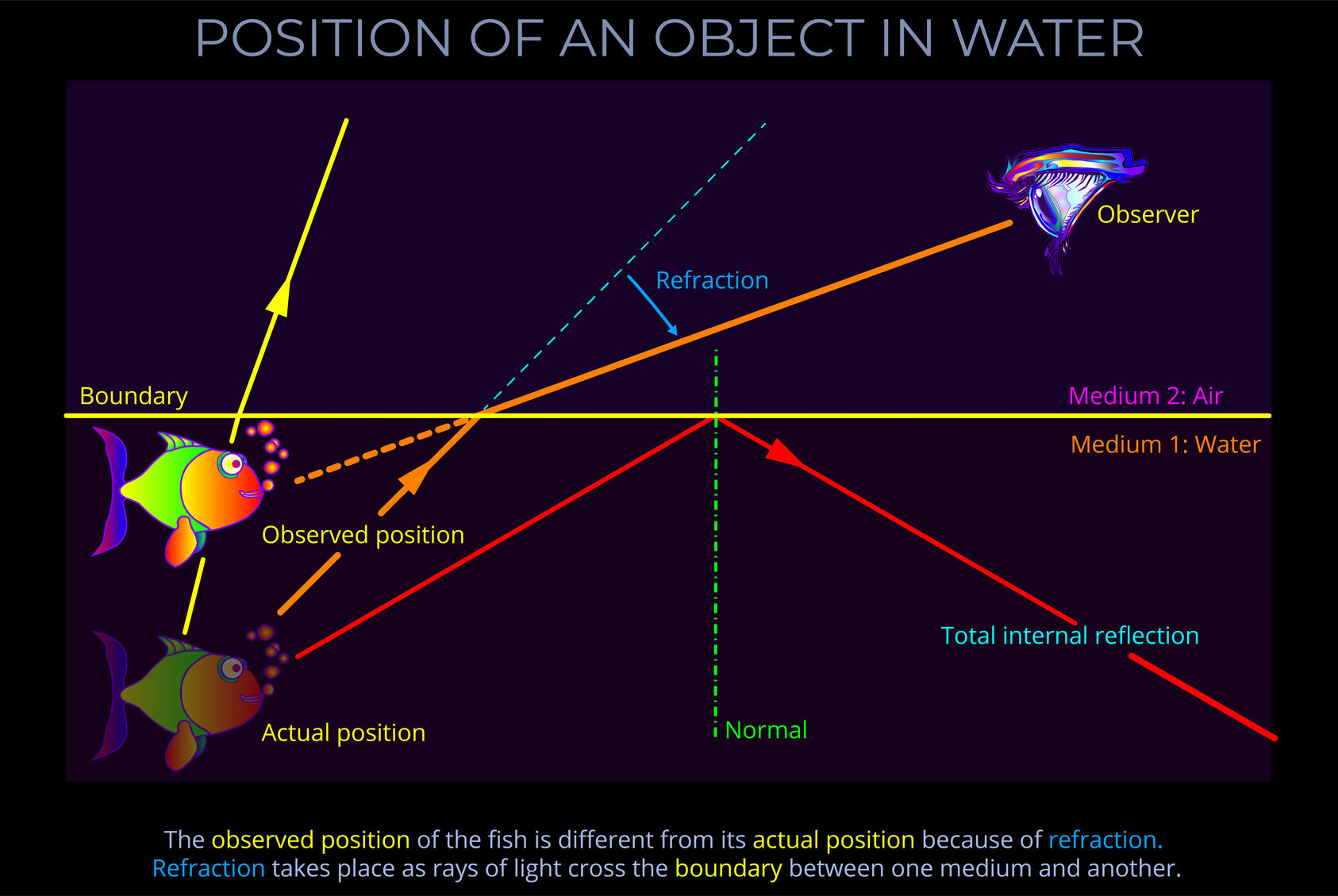 Position of an Object in Water