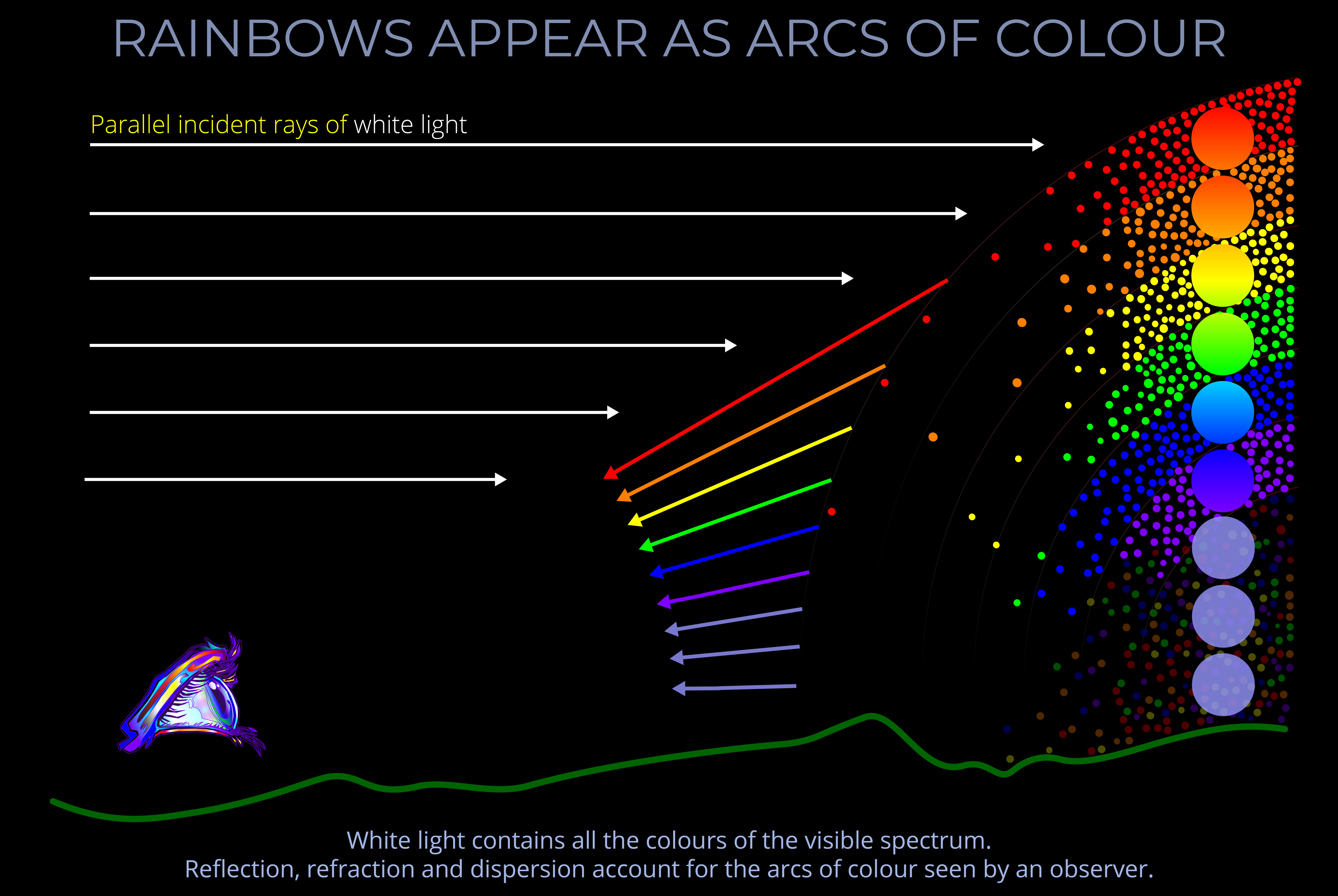 Rainbows Appear as Arcs of Colour
