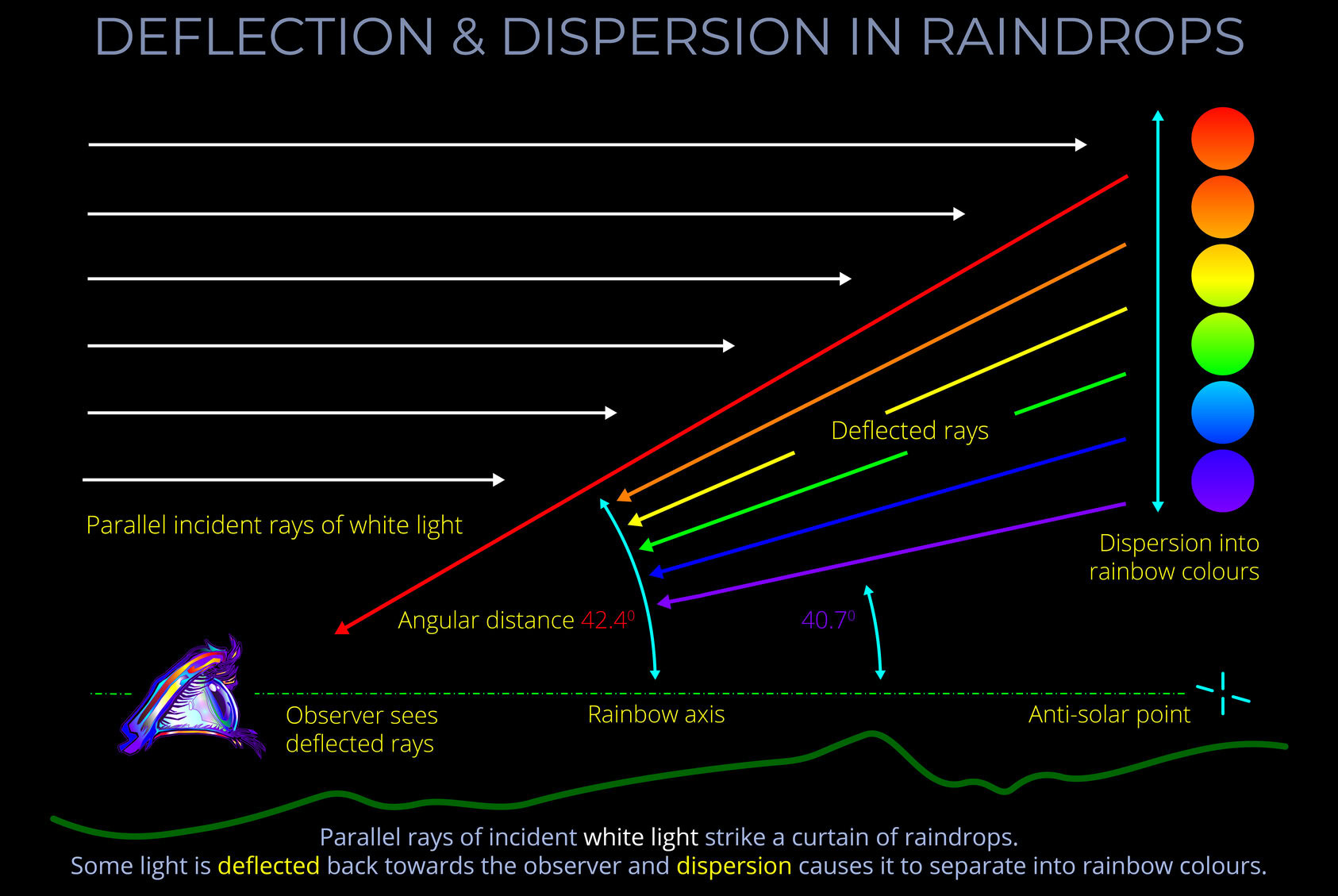 Deflection & Dispersion in Raindrops