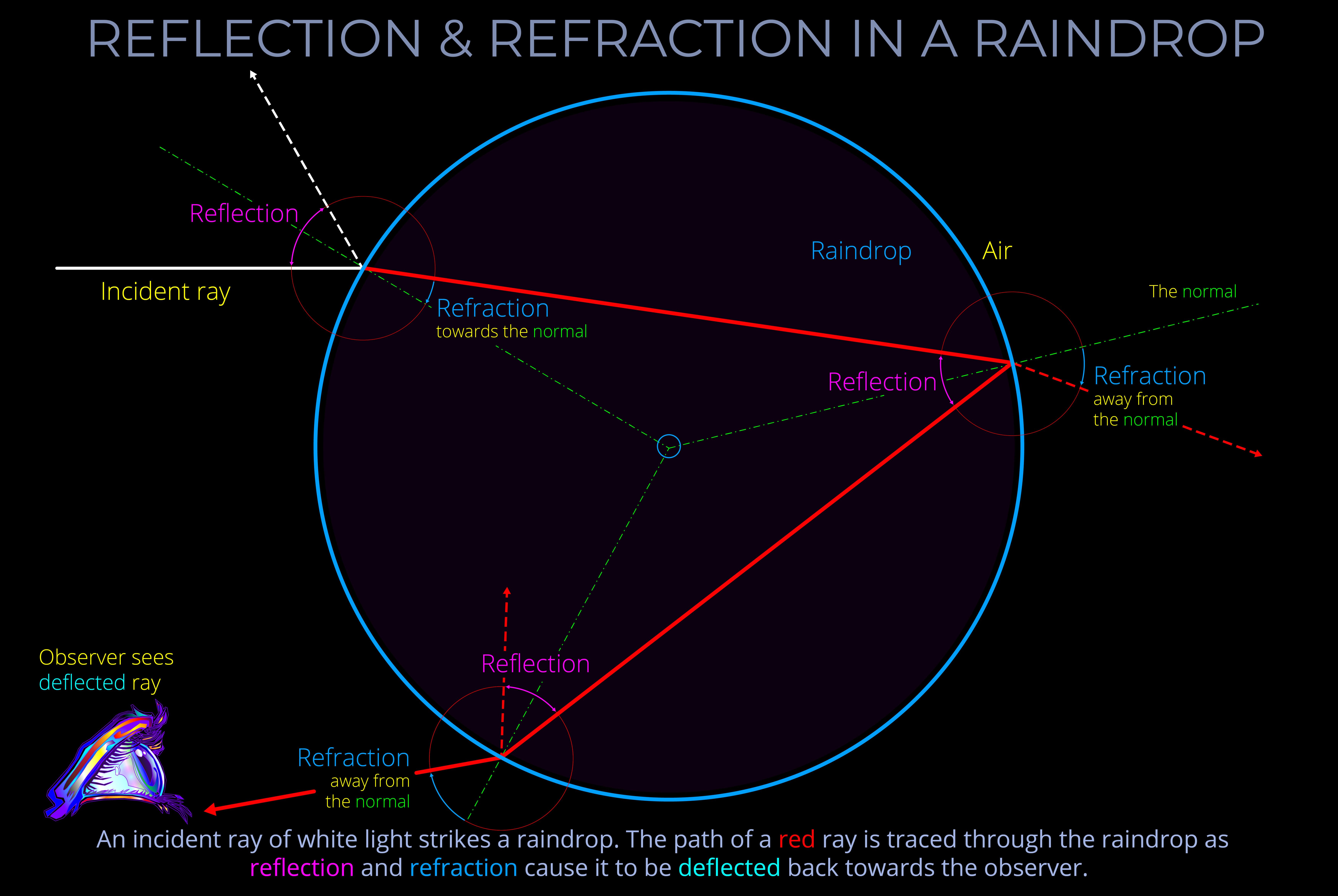 Reflection & Refraction in a Raindrop