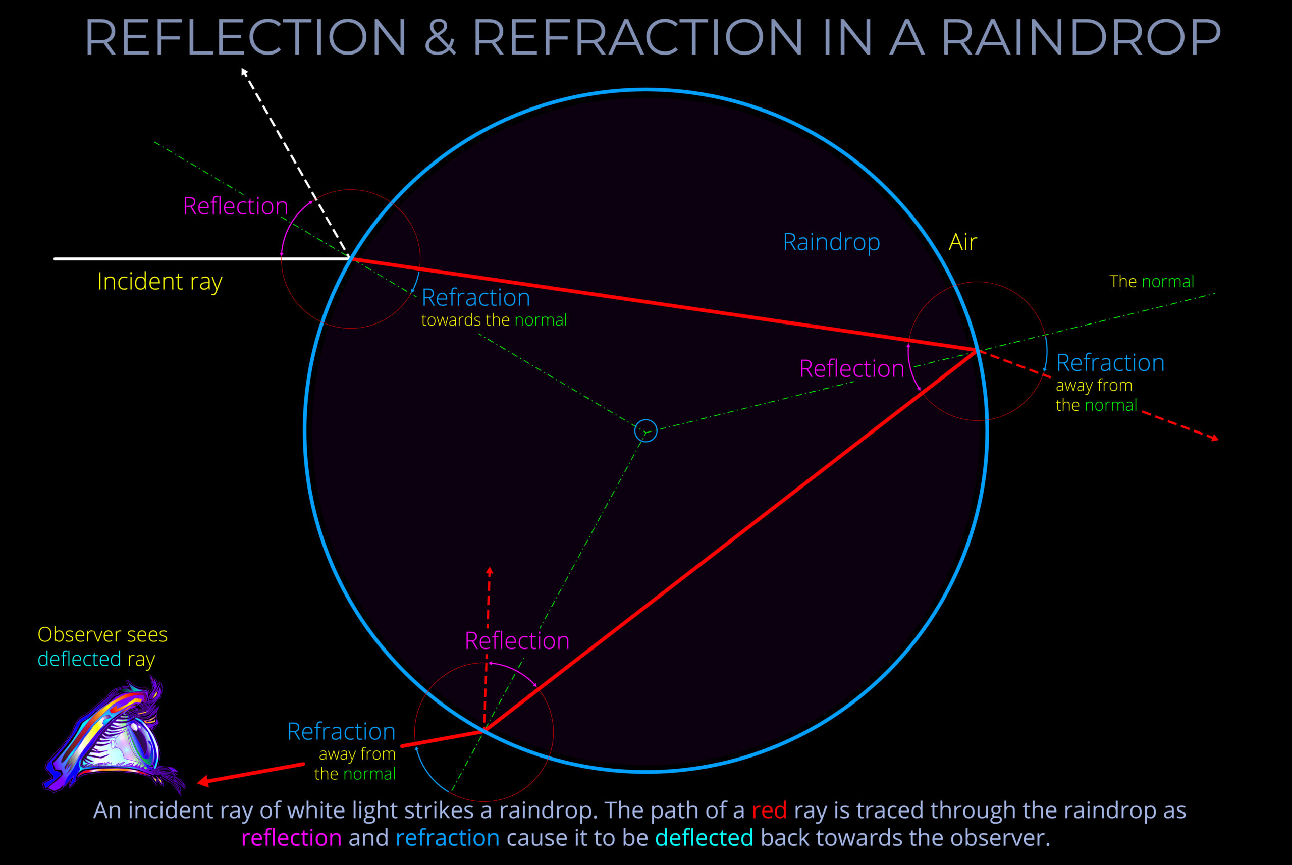 A perfectly timed photo of a raindrop refracting light from a