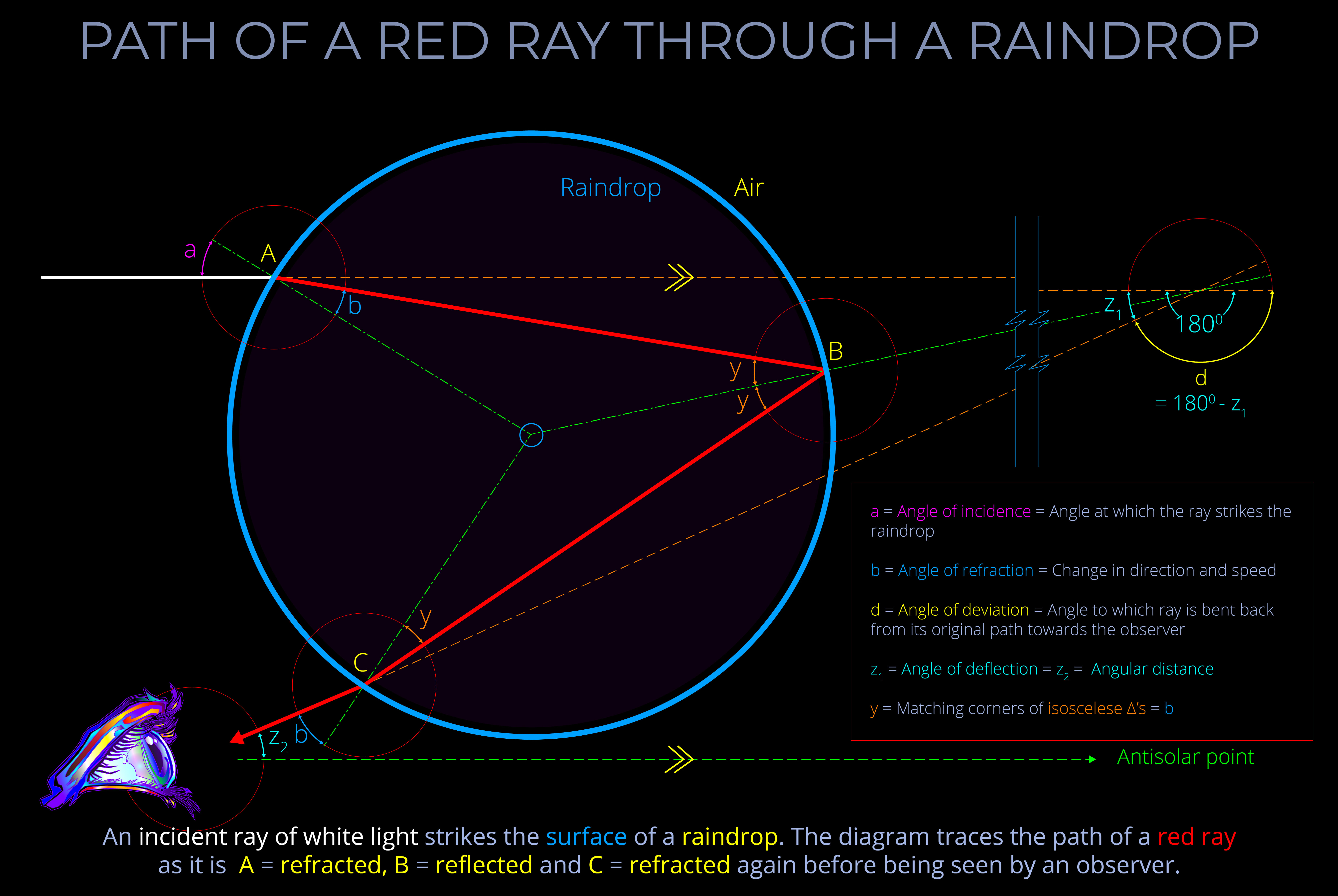 Path of a Red Ray Through a Raindrop