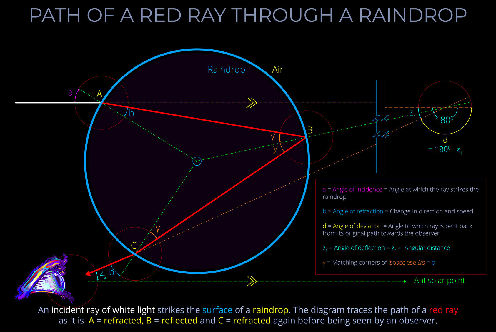 Path of a Red Ray Through a Raindrop