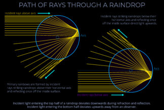 Path of Rays Through a Raindrop