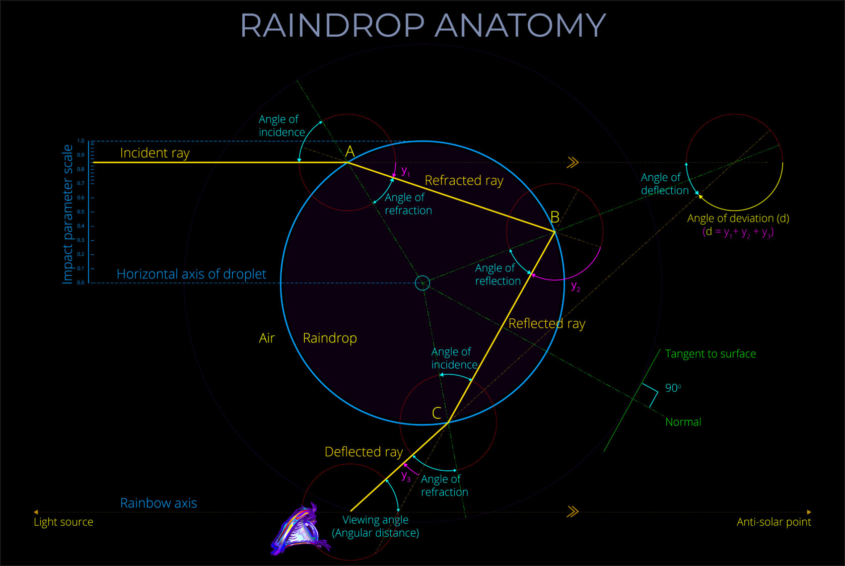 Raindrop Anatomy