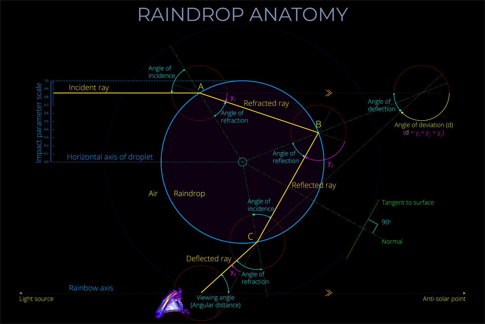 Raindrop Anatomy