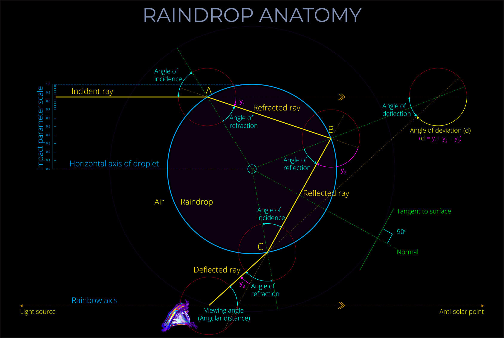 Raindrop Anatomy